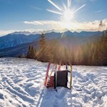 Rodeln von der Moserhütte