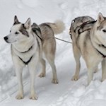 Draußen ist's am schönsten...