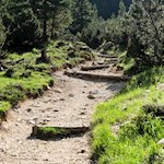 Allmählich steilt der Weg zum Col de Locia an