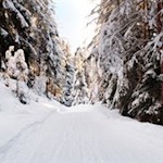 Durch den schneeversunkenen Wald zum Hofer Alpl