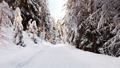 Durch den schneeversunkenen Wald zum Hofer Alpl