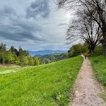 Vom Wolfsgrubener See führt der Weg durch baumbestandene Wiesen nach Oberbozen