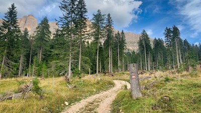 L'escursione al Kaiserstein è ben segnalata