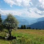 Almidyll wie aus dem Bilderbuch