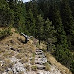 Der schmale Pfad in Richtung Hammerwand