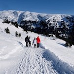 Der-Urlesteig-erfreut-sich-auch-im-Winter-großer-Beliebtheit