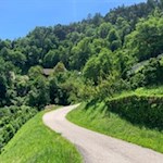 Teile der Wanderung auf den Ritten folgen asphaltierten Wegen