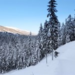 Im sanften Anstieg zum Wildbad Innichen