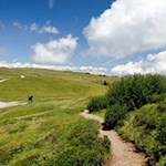 Hinter dem Bergrestaurant Puflatsch wandelt man auf nahezu ebenen Wegen