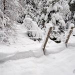 Durch den winterlich verschneiten Wald zur Tuffalm