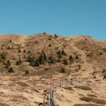 Auf dem Weg zum Astjoch