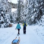Anstieg durch den tiefverschneiten Nadelwald zur Brunstalm