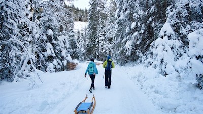 Anstieg durch den tiefverschneiten Nadelwald zur Brunstalm