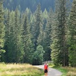 Ein sanfter Spazierweg führt zur Valparola Alm