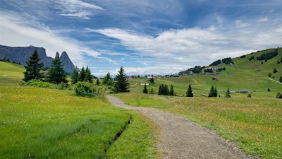 Durch die malerischen Almwiesen der Seiser Alm zur Tuene Hütte