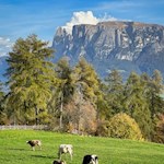 Diese Wanderung auf dem Ritten öffnet malerische Ausblicke