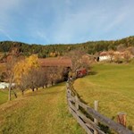 Von der Herbstsonne in schönstes Licht getaucht, der Sunnenseitenweg