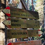 Auf dem Rückweg folgt man dem Keschtnweg