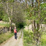 Leichte Wanderung auf dem Bienenweg Trens