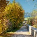 Wie ein Meer aus flammendem Gold: an den Ufern der Rienz