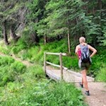 Anstieg durch den Wald zur Nockalm