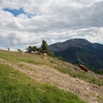 Neben uns erhebt sich der Villanderer Berg