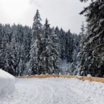 Die Rodelbahn ist gut präpariert