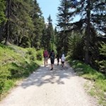 Familienwanderung zur Brunnerwiesen Alm