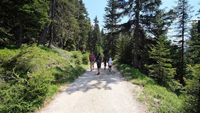 Familienwanderung zur Brunnerwiesen Alm
