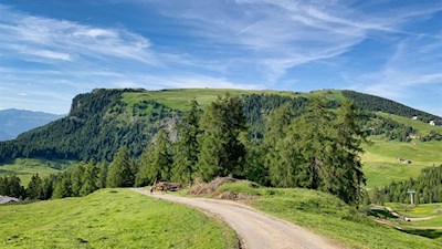 Rückwärts gewandter Blick auf den Puflatsch während des Anstiegs zur Gstatsch Schwaige