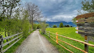 Der Rundweg Kasserol führt durch Wiesen und Wälder