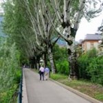 Passerpromenade-in-Meran