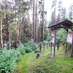 Längs des Weges bringt man allerlei Wissenswertes in Erfahrung