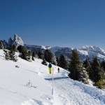 Auf dem panoramareichen Wanderweg Nr. 35A