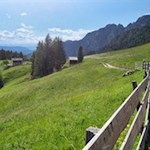 Inmitten aussichtsreicher Almwiesen liegt die Plafötsch Alm