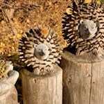 Längs des Gumperer Weges gibt es vieles zu entdecken