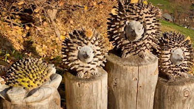 Längs-des-Gumperer-Weges-gibt-es-vieles-zu-entdecken