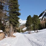 Auf dem gebahnten Winterwanderweg zur Huber Alm