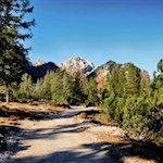 Auf zunächst sanften Wegen in Richtung Grünwaldalm