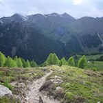 Die Wanderung zur Tschiffernaun Alm führt über einsame Heidehänge