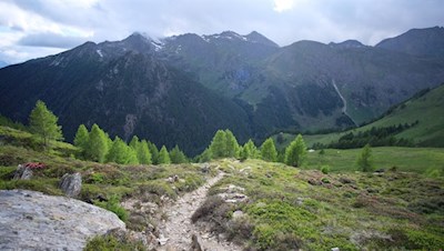 Die Wanderung zur Tschiffernaun Alm führt über einsame Heidehänge