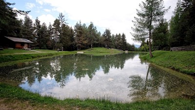 Fischteich nahe dem Schnaggenkreuz