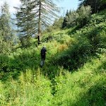 Der Rückweg von der Schwarzbachalm erfolgt auf dem Hinweg