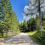 Sanft zieht sich der Weg zur Petersberger Leger Alm