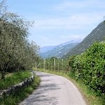 Wo bereits Rilke spazierte...