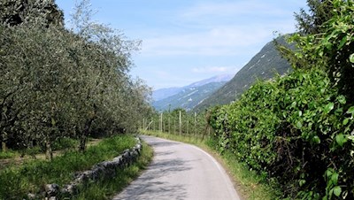 Wo bereits Rilke spazierte...