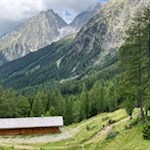 Der schmale Wanderweg Nr. 11 führt auf den Staller Sattel