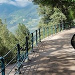 Der Tappeinerweg lädt zum sanften Spazieren ein