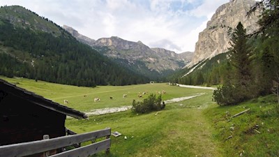 Bei der Hütte im Talschluss zweigt der höher gelegene Wanderweg ab