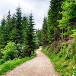 Diese Wanderung führt durch malerische Wälder